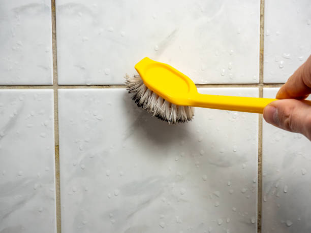 Best Residential Mold Removal  in Eagle Lake, WI