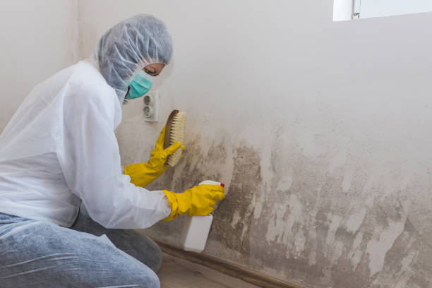 Best Crawl Space Mold Removal  in Eagle Lake, WI