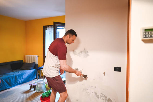 Crawl Space Mold Removal in Eagle Lake, WI